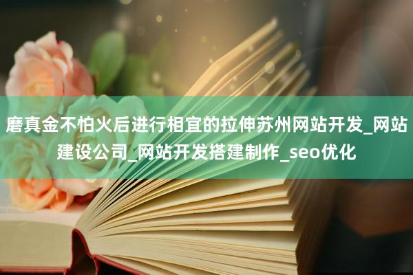 磨真金不怕火后进行相宜的拉伸苏州网站开发_网站建设公司_网站开发搭建制作_seo优化